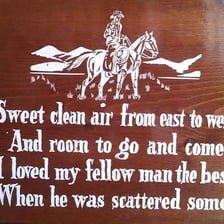 A cheerful Western-style character expressing emphatic agreement.
