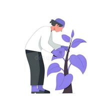 A person taking care of a houseplant