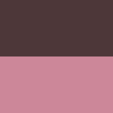 A color swatch showing the brownish-purple shade called puce.