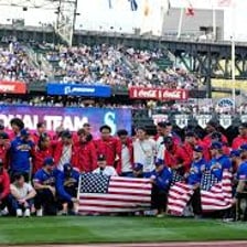 Team sports represented by baseball and soccer players