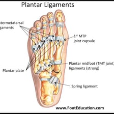 A foot anatomy illustration labeling the instep.