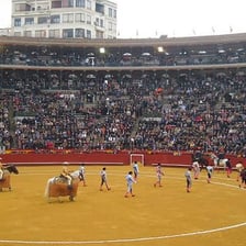 A crowd cheering during a Spanish bullfight.