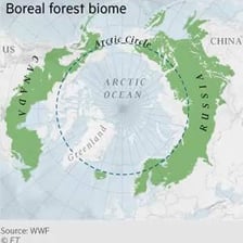 A cold subarctic landscape with boreal forest and snow near the Arctic region.
