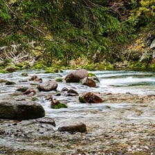 A clear stream moving smoothly over rocks