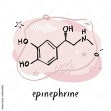 An educational illustration representing adrenaline, also called epinephrine