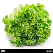 A head of Batavia lettuce with ruffled green leaves