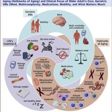 Educational illustration showing the study of aging and older adulthood