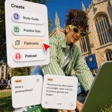 Student reviewing a stack of study flashcards.