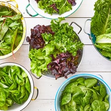 Several varieties of lettuce arranged as fresh salad greens.