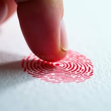 A detailed fingerprint impression showing the ridged pattern of a fingertip.