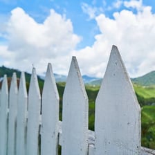 A row of narrow pickets forming a white fence