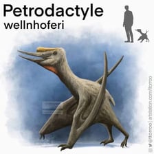 An artistic reconstruction of a pterosaur flying over a prehistoric landscape