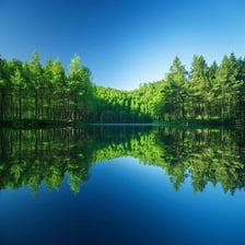 Trees reflected clearly on the smooth surface of a calm lake.
