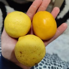 A sliced lemon, a familiar example of a sharp-tasting acidic food.
