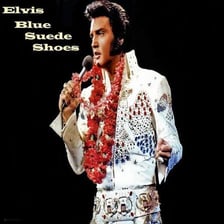Elvis Presley performing on stage.