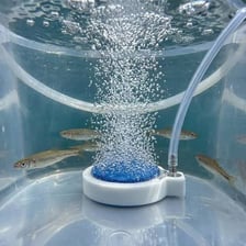 Bubbles rising through liquid during aeration.