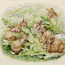 Portrait of Beatrix Potter with illustrations from her children’s books