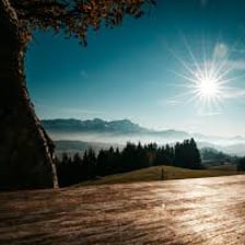 The sun casting bright light over a landscape
