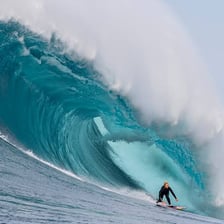 A large ocean wave forming a rounded, undulating mass.