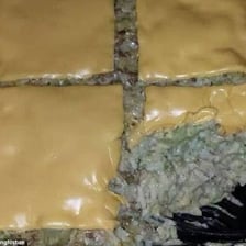 An unappetizing food item presented as visibly unpleasant