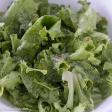 Lettuce leaves shown limp and wilted