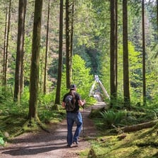 Several hiking trails winding through a wooded natural landscape.