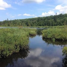 A wet, marshy landscape with soft, boggy ground.