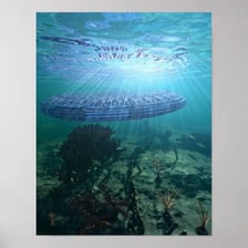 An object fully submerged beneath the surface of water.