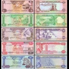 United Arab Emirates dirham banknotes representing the country’s currency.