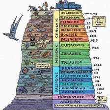 An educational geological time scale showing eons as major divisions