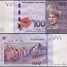 Malaysian ringgit banknotes representing Malaysia’s currency.