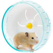 Pet hamsters using small exercise wheels in their habitat.