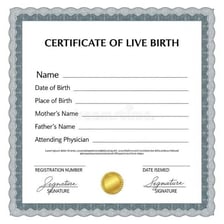 A birth certificate form showing a blank field for a name.