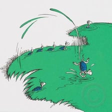 An illustration of Yertle the Turtle overlooking a pond