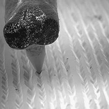 Close-up of the circular grooves on a vinyl record.