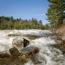 A river swollen by rapid spring snowmelt.
