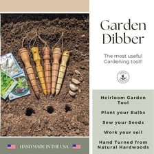 A pointed hand dibble making a planting hole in garden soil
