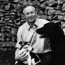 A portrait of James Herriot, the British veterinarian and author.