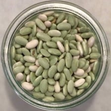 Pale green flageolet beans displayed in a bowl.