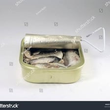 Sardines packed closely together inside a tin.