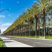 A broad urban boulevard with trees and landscaped areas.