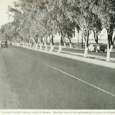 A broad tree-lined parkway with landscaped sides