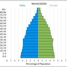 An educational chart showing the demographic makeup of a population.