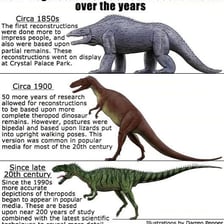 Scientific reconstruction of a large megalosaur dinosaur.
