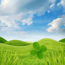 A small grassy mound rising from a meadow