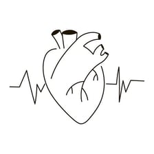 An illustration representing the rhythmic beating of a human heart