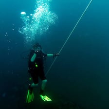 A diver emerging at the surface of the water