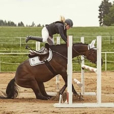 A horse standing still and resisting an attempt to move forward