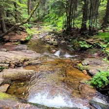A narrow streamlet flowing through a wooded landscape.