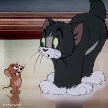 Tom the cat and Jerry the mouse from the animated series.
